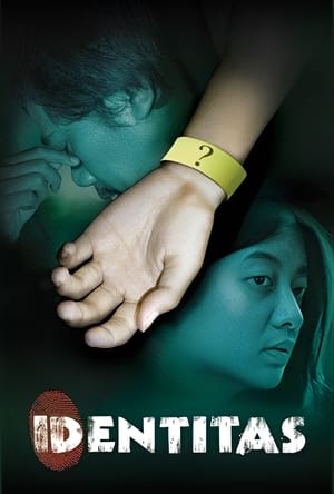 Poster Identity (2009)