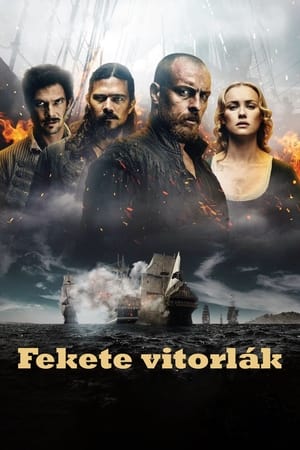 Poster Fekete vitorlák 2014