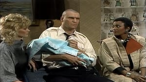 Night Court Bull's Baby