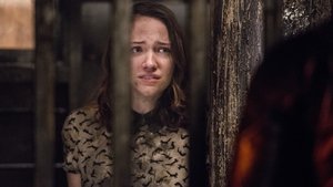 The Flash Season 2 Episode 24
