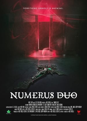 Image Numerus Duo