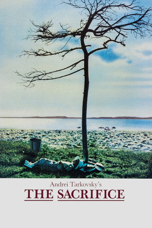 Постер фильма «Жертвоприношение (1986)» — (24 из 66)