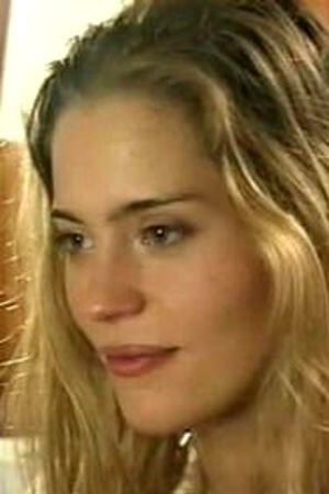 wild at heart book chapter summary wild at heart book chapter summary