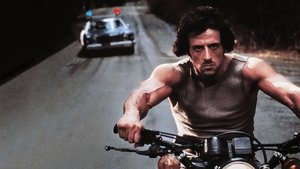 Rambo: First Blood Part II (1985) In Hindi