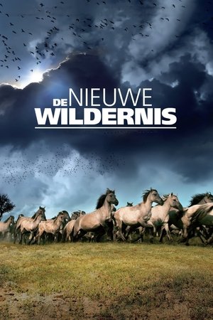 Poster The New Wilderness (2013)