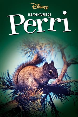 Poster Les aventures de Perri 1957