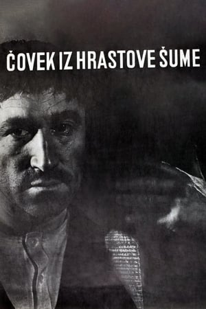 Poster Čovek iz hrastove šume 1964