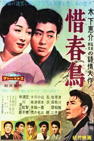 Poster 惜春鳥 1959