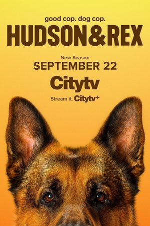 Hudson & Rex - Season 8