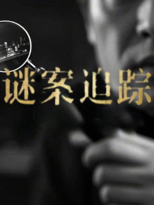 谜案追踪