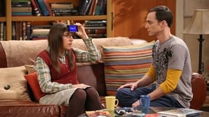 The Big Bang Theory Season 8 Episode 9