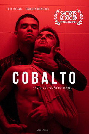 Cobalto 36