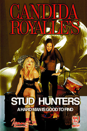 Image Stud Hunters