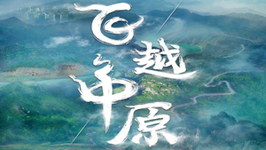 飞越中原