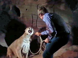 Der sechs Millionen Dollar Mann: 2×16