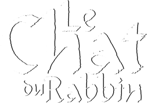 Le Chat du rabbin, le film