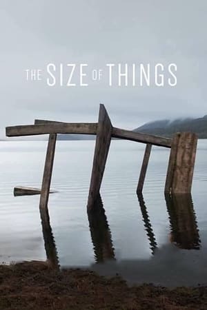 Poster The Size of Things (2019)