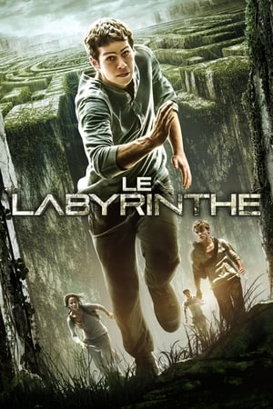Poster Le Labyrinthe 2014