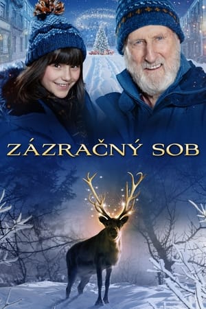 Poster Zázračný sob 2022