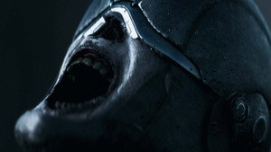 SJOR | Rise of the North
