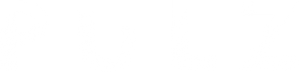 Pulse — Logos 2