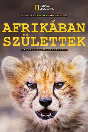 Image Afrikában születtek