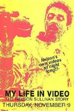 Poster Nelson Sullivan's Video Diaries 1989