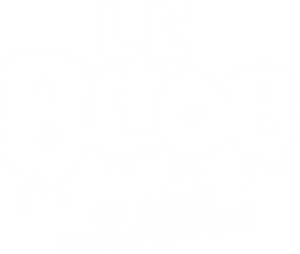 The Blob: A Genius without a Brain
