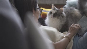 ネコメンタリー EP10