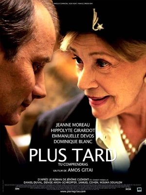 Poster Plus tard tu comprendras 2008