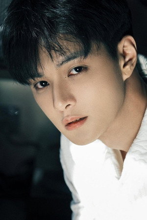 Li Fancheng portrait