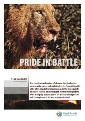 Poster Pride in Battle (2010)