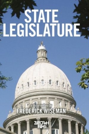 State Legislature poster