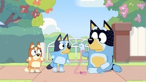 Bluey Season 1 Episode 50