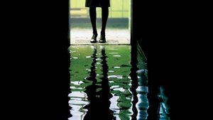 Agua Turbia (2005) HD 720P LATINO/INGLES