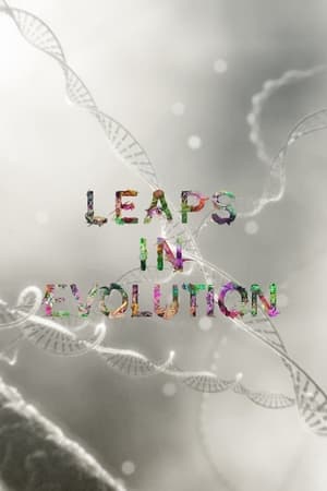 Image Leaps In Evolution