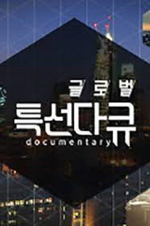 글로벌 특선다큐