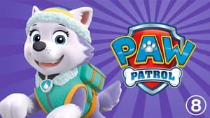 PAW Patrol, La Pat’Patrouille Saison 8 VF