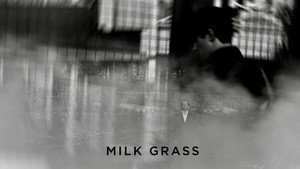 Milk Grass 25
