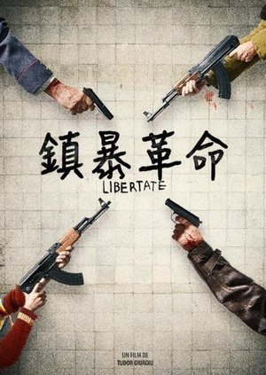 Poster 89年的锡比乌 2023