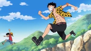 One Piece: Season 13 Episode 504