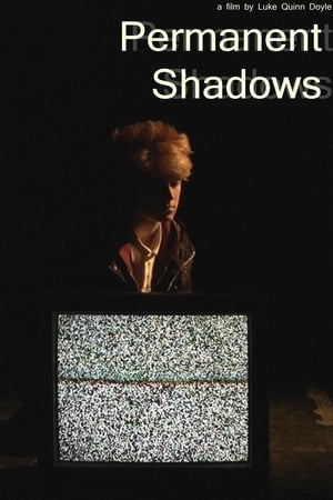 Poster Permanent Shadows (2017)