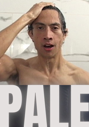 PaleDV 6
