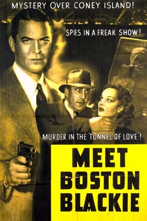 Meet Boston Blackie poster