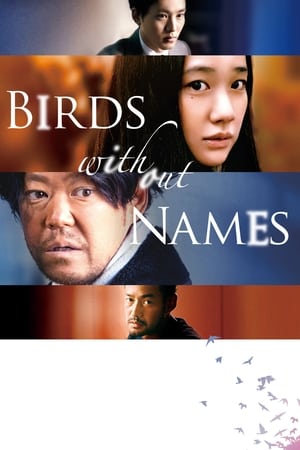 Poster Birds Without Names (2017)