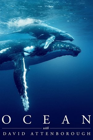 poster Ocean with David Attenborough