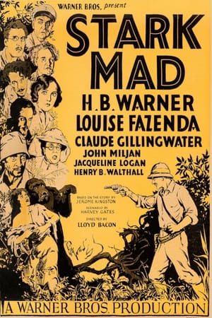 Poster Stark Mad (1929)