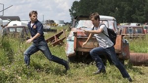 Heartland – Paradies für Pferde: 6×8