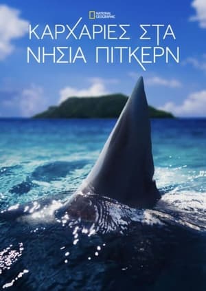 Καρχαρίες στα Νησιά Πίτκερν (2013)