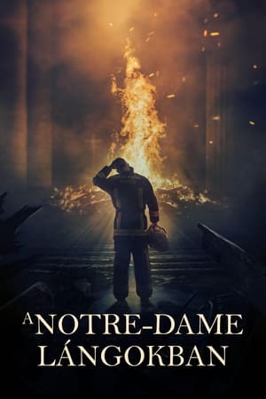 Poster A Notre-Dame lángokban 2022